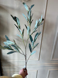 Olive Branch- Light & Living