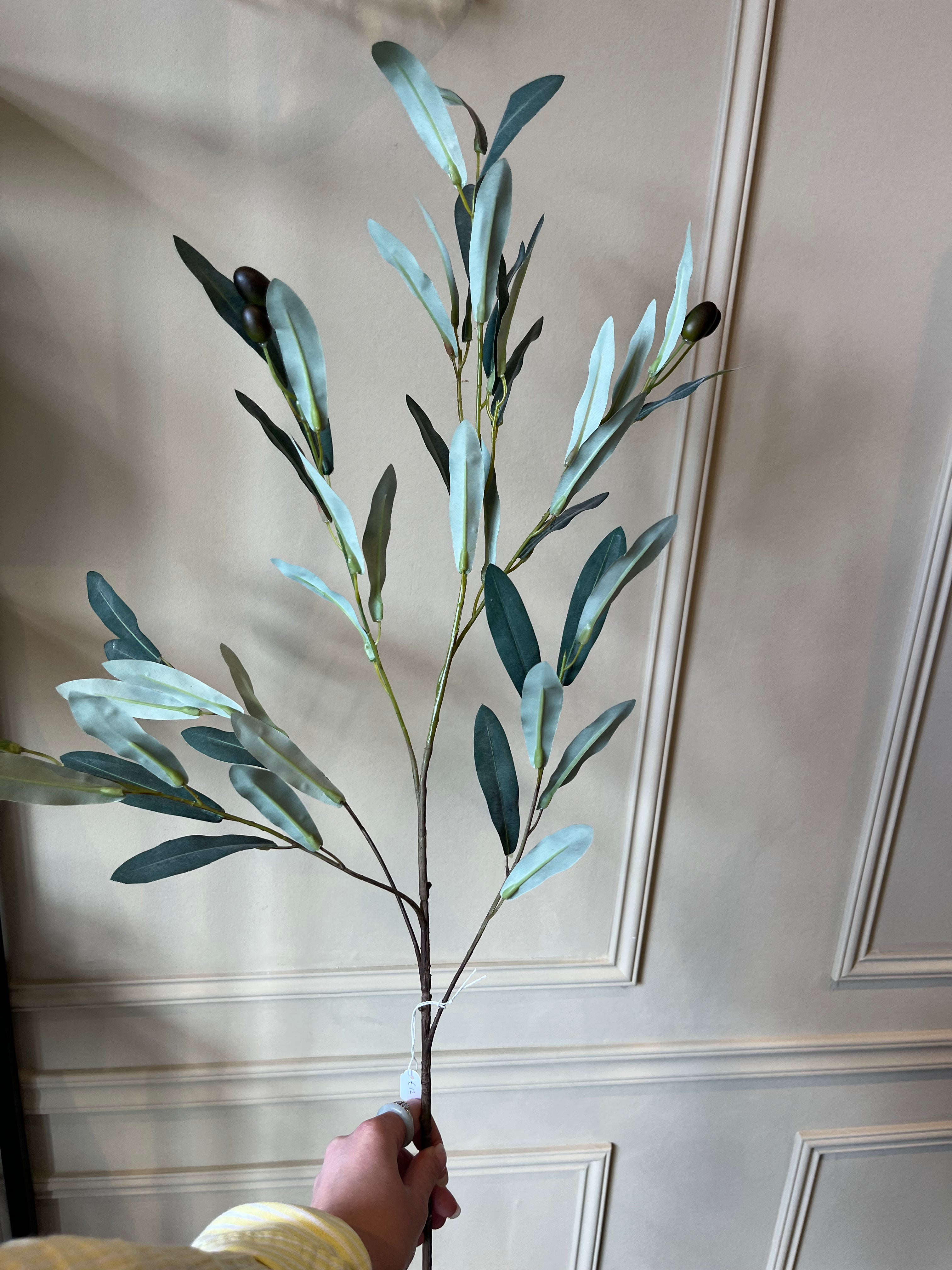 Olive Branch- Light & Living