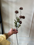 Pompom 52 cm - Dark Coffee